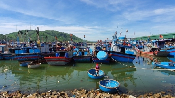 Quang Ngai bans seafood exploitation in two coastal waters for a fixed term